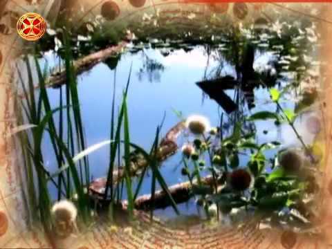 საეკლესიო კალენდარი   5 დეკემბერი  წმინდა მოწამე კიკილია