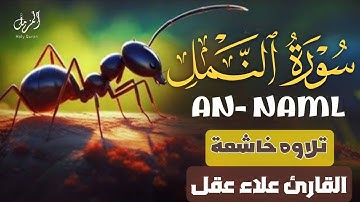 سورة النمل🐜 كاملة تلاوة هادئة 😴 - علاء عقل Sourate An-Naml - Récitation Alaa Aql Relaxante l