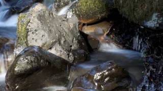 streamswishpan022609