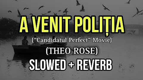 Theo Rose - A venit poliția | From "Candidatul Perfect" The Movie - Slowed + Reverb
