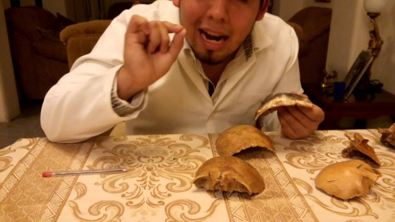 Hueso parietal 2 camera iphone 8 plus apk