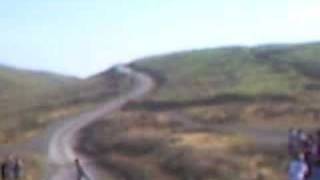 Funny Hairpin Sweet Lamb 2008