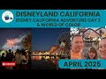 American Adventure 2025 - Part 6 - Disney's California Adventure at Night and World of Color