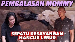 PRANK PEMBALASAN! PAPAH MARAH BGT | THE GOLDEN FAMILY