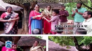 Natural Day Amlp School Moorkanad