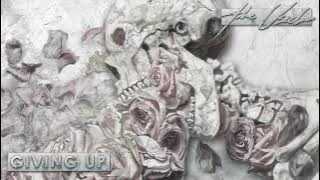 The Used - Giving Up [Visualizer]