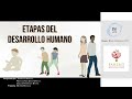 Comprender las etapas de desarrollo de su hijo - Foro de padres #34 (español)