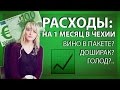 СКОЛЬКО НУЖНО ДЕНЕГ НА МЕСЯЦ ЖИЗНИ В ЕВРОПЕ? [ Чехия ]