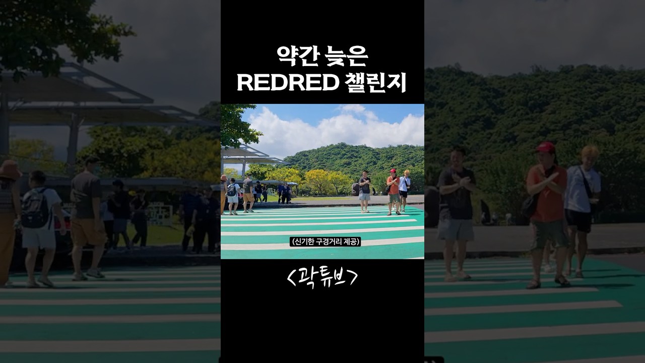 약간 늦은 REDRED 챌린지