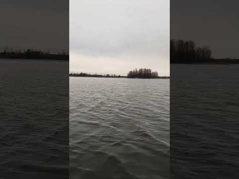 فيديو: Vuoksa - بحيرة في منطقة لينينغراد