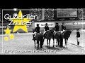 Avicii - Levels | Nicky Romero - I Could Be The One | Quadrillen Zauber #7 | Dressage Youngstars