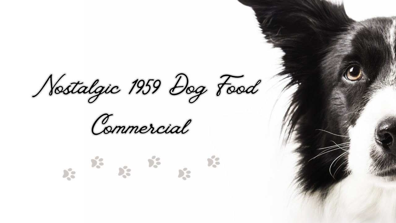 Nostalgic 1959 Dog Food Commercial A Trip Down Memory Lane YouTube