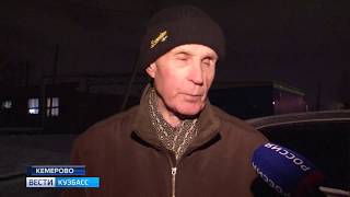 В Кемерове ищут хозяев потерявшейся собаки В Кемерове ищут хозяев потерявшейся собаки