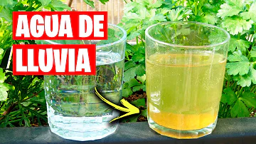 ¿Ayuda la lluvia a que crezca la hierba?