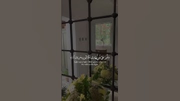 سورة النور للقارئ -شريف مصطفى-