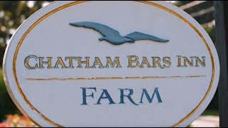 Farm to Table Dinner at The Chatham Bars Inn Farm