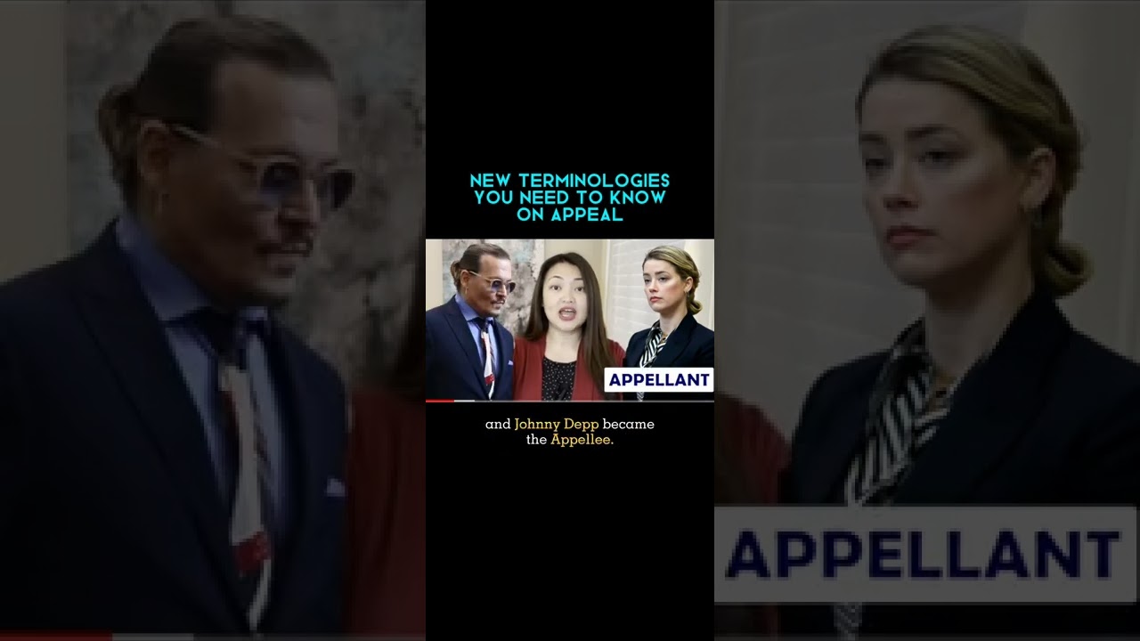 What’s New On Appeal?