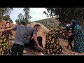 معركة مهوش وزهراء مصطفى يبحث عن سيناز في اليوم الأكثر عاصفة معركة مهوش وزهراء مصطفى يبحث عن سيناز في اليوم الأكثر عاصفة