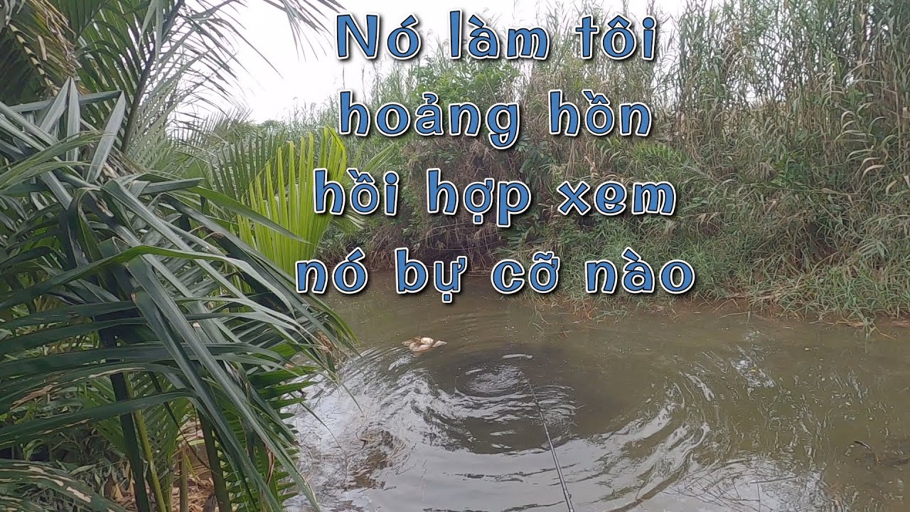 Đang Câu Mà Nghe Nó La Làng, Hốt Hoảng Chạy Lại Thì...|| VR Fishing #86