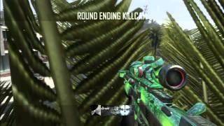 My Best Raid Tree Shot INSANE!!