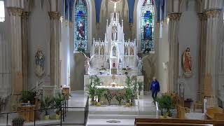 Holy Childhood of Jesus Catholic Church Live Stream