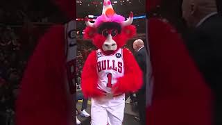 Benny The Bull Celebrated In Style 