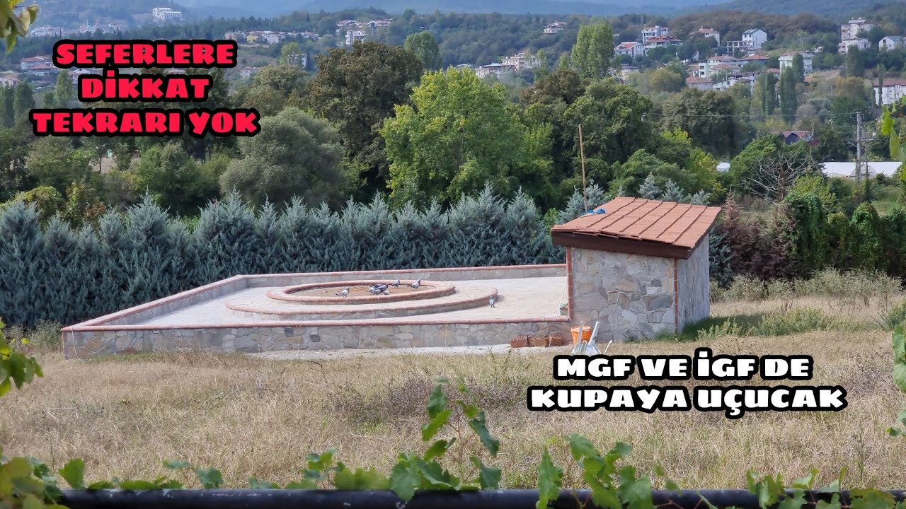 ÇOK OYUN KUŞU İZLEDİM BÖYLESİNİ GÖRMEDİM  YER MEKAN VE SOY TAKİBİNİN ÖNEMİ  MURAT BOZKURT KÜMESLERİ