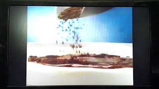 Dairy Queen Mothers Day Cakes Commercial 1996