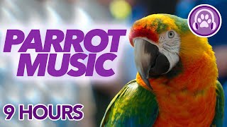 CLICK HERE to Make your Parrot Happy 🦜 Music for Happy Healthy Parrots screenshot 4