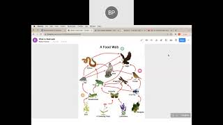 Thinglink screencast