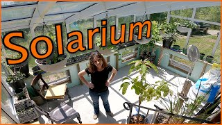 Growing FOOD Inside // Solarium Update