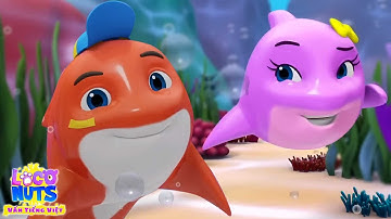 Peek A Boo Cá Mập Con Video Hoạt Hình 3D Dành Cho Trẻ Mới Biết Đi Của Loco Nuts