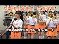 京都橘高等学校 吹奏楽部@2024春の大行進ブルーメンパレード【4K】