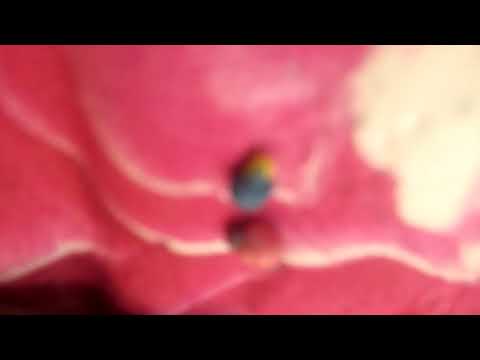 Динозавр Смешарики 58 серия