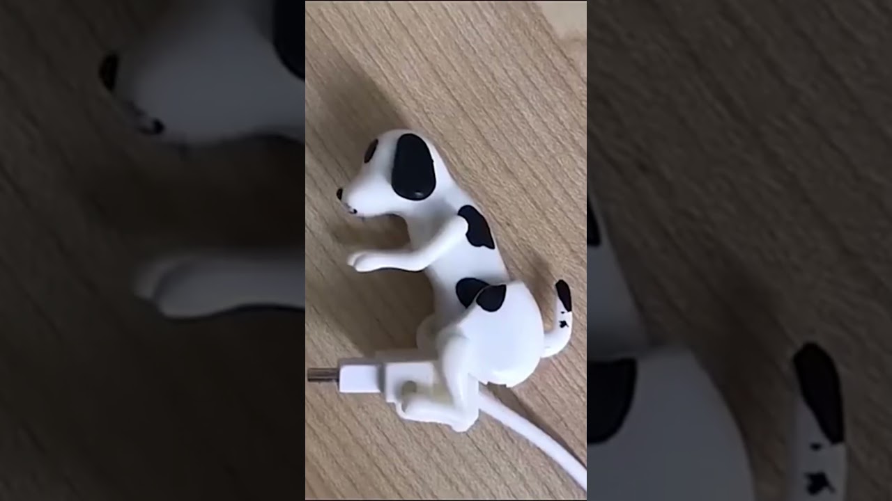 Fast Dog Charging Cable: Speed and Styl 