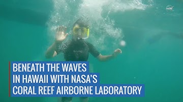 Earth Expeditions: Beneath the Waves with CORAL