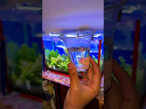 إبدأ صح عشان ترتاح بعدين