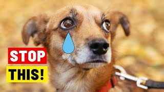 8 Human Behaviors Dogs HATE the Most