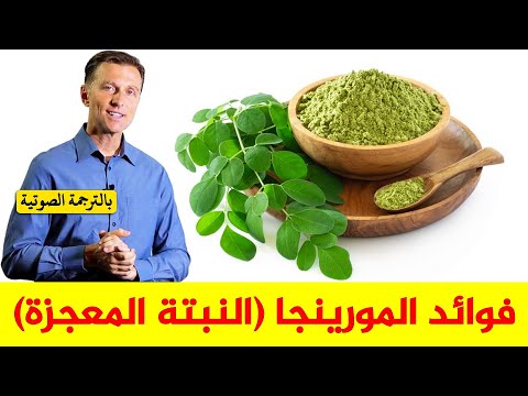 النبته المعجزة التي تعالج كل الأمراض المزمنة اكتشف فوائد نبته المورينجا