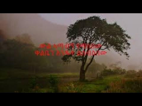 Tadele Roba: Kefitret Yegilish Lyrics Video