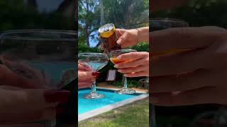 Crack Open Spark Plug And Let The Fun Begin