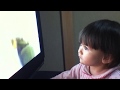 赤ちゃん 生後1歳2ヶ月 5 - BABY 14 months - BEBE 14 mois