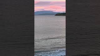 Pink at Sunrise 🌸 #oceansounds #naturesoundscape