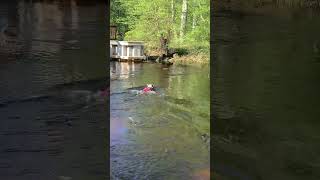 My pitbull “Skye” loves the river!!!