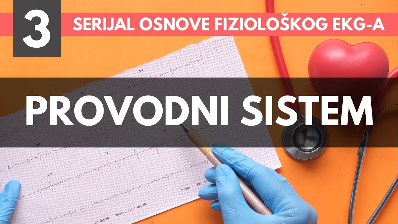 Provodni sistem srca, EKG traka - Osnove fiziološkog EKG-a (3/6)