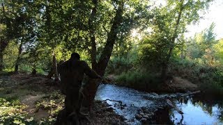 Farmers Pet Bigfoot Goes Beast-mode on Predator (Squatchable Stories)