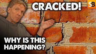 Why Has Your Wall Cracked? and What Can You Do? screenshot 3