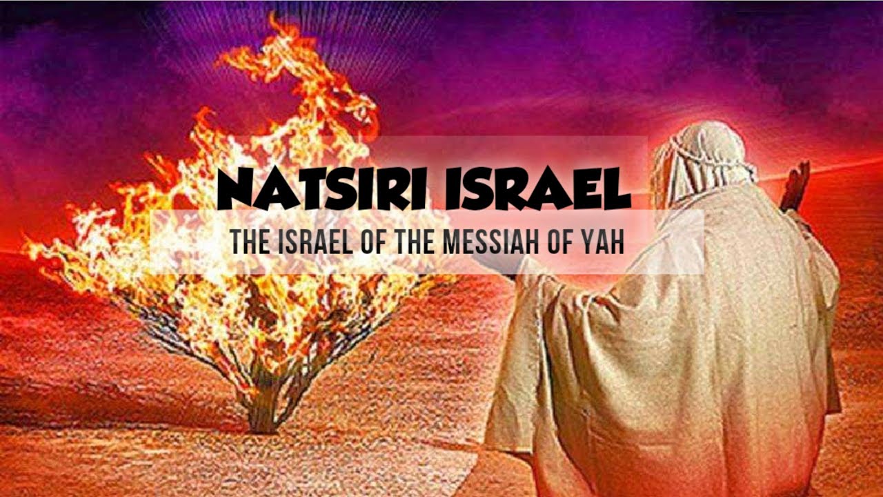 The Judahites : DAVID'S EVERLASTING KINGDOM ON EARTH