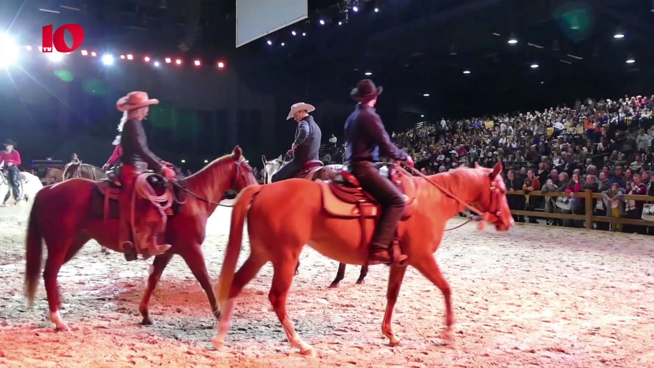 Gros Succes Pour Le Premier Salon Du Cheval A Angers Youtube