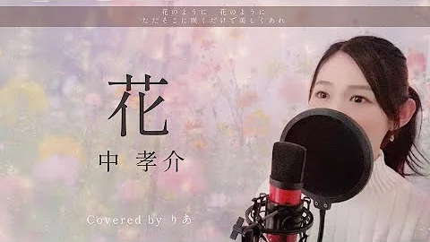 花 中孝介 女性キー Mp3 花 中孝介 女性キー Mp3
